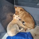 되고개농장 이미지