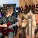 Cat sings &#34;Slayer&#34; song 이미지