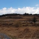 복산리 달천 이미지