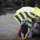 대구성곡초등학교 이미지