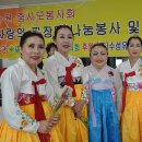 삼일기획주 이미지