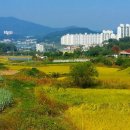 당산행정사사무소 네이버블로그