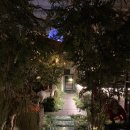 6048 | 망원 | 분위기 최고 숲길 holzwege 내돈내산 후기