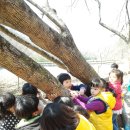 하늘숲 어린이집 이미지