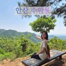 안산약수터 | 안산 가볼만한 곳｜초보 등산 추천 수암봉 등산 코스 후기