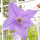 수완1제 이미지