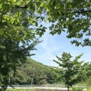엔학고레 | 공주 엔학고레 카페 내돈내산 후기