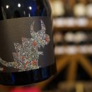 제이씨스 이미지