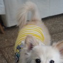 누야그 이미지