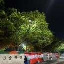 목척교 | [대전/맛집] 대전 야장 맛집 은행동 목척교 포차거리 5번 우리집 내돈내산 후기