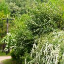 이마트 에브리데이 구로항동점 이미지