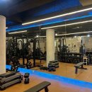 옐로우피티 이미지