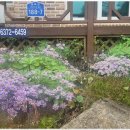 무릉펜션민박 이미지