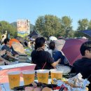 자라섬 주차장 이미지