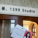 봄;1299스튜디오 이미지