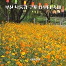 덕천정미소 | 부산 낙동강 구포나루 축제 황화코스모스 꽃나들이 데이트 구포역 가볼만한곳