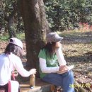 덕치초등학교 이미지