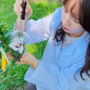 향기나라 화장품 이미지