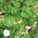 가든농장 이미지