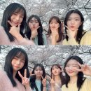 남산공원(정자아래) 이미지