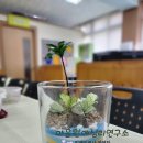 원예마주 이미지