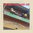 강원도 정선 당일치기 국내여행 정선 5일장 정선 아리랑 시장
