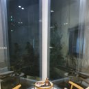 써니스브레드 네이버블로그