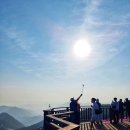 소계동157 | [산행 후기] 천주산 진달래