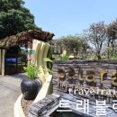 파타라PATARA