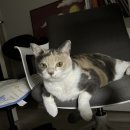 마곡중앙3로 | 마곡 모담다이닝 | 상견례·가족모임 하기 좋은 룸식당 추천 내돈내산 후기