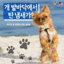 개발바닥 이미지
