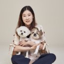 서공동물병원 이미지