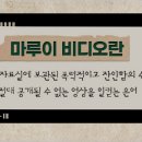 뉴비디오 이미지