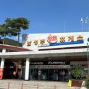 남성주참외(양평) 이미지