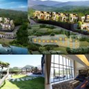 요트앤밸리 이미지