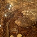 영팔농장 이미지