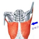 이지휘트니스 이미지