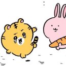 크리스마스 100일 남았대요