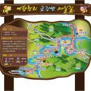 예향천리마실길 2코스 편백숲길 | 초행길 (무주 예향천리 금강변 마실길)