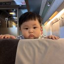 송이진푸드 | 인스파이어 리조트 포레스트타워 7개월 아기랑🩵