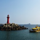 제주사계 이미지