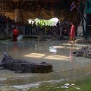 남국농장 이미지