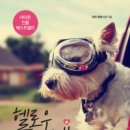 헬로우 - 원주시 무실로 29 | 헬로우