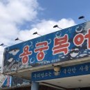 용궁복어 이미지
