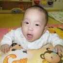 돼지야놀자 이미지