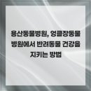 엉클장동물병원 이미지