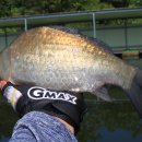 동암 낚시터 이미지