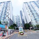 황령산 편백단지 이미지