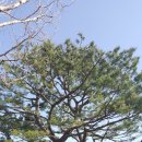 능포주차장 이미지