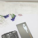 사인아프로
